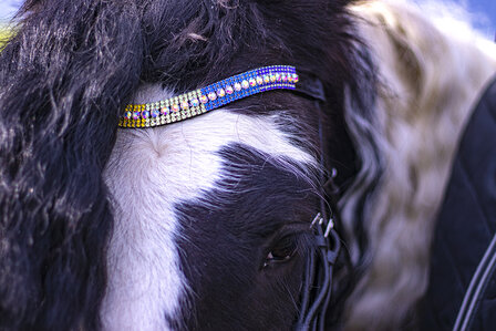 Browband Multicolour