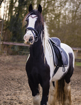 Browband Bordeaux Red &amp; Black - Embrace