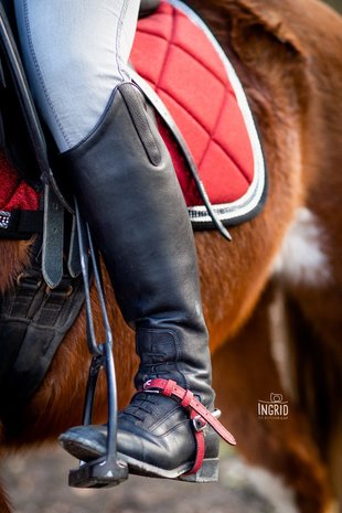 Spur Straps Sparkle Red