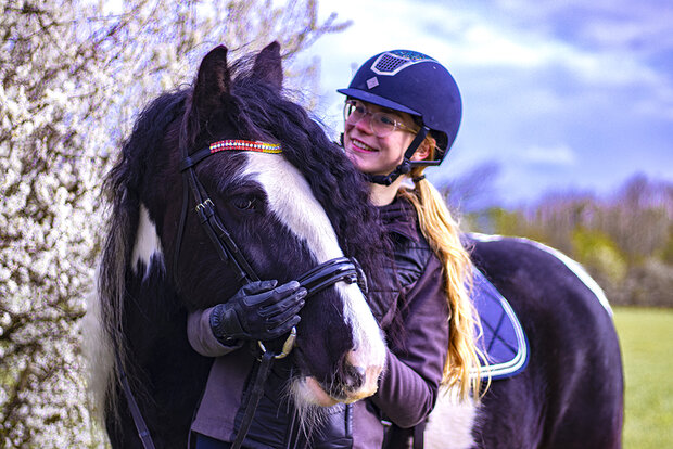 Browband Multicolour