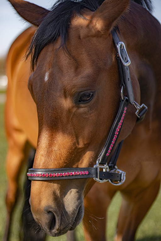 Designer Pink Pearl Rhinestone Horse Halter Designer Halter 