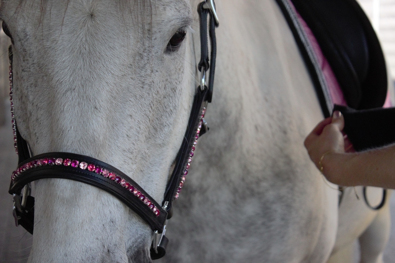 Designer Pink Pearl Rhinestone Horse Halter Designer Halter 