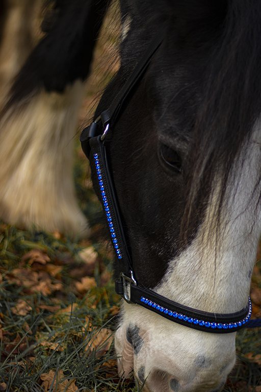 Designer and Blue Rhinestone Horse Halter Designer Halter 