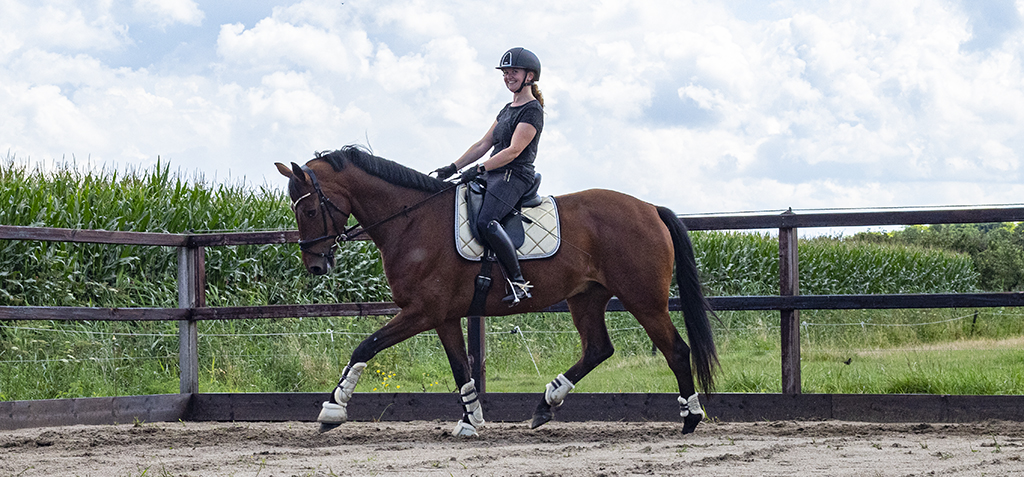 boot clips Rose Gold - Bling Your Horse